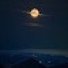 صورة د. إسراء عامر