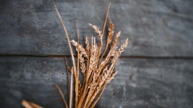 ما هي فوائد الشعير المغلي