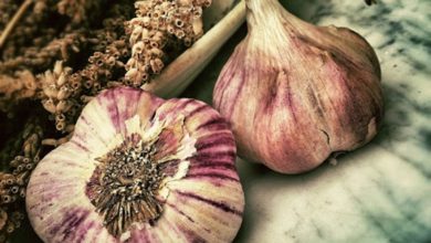 فوائد الثوم على الريق