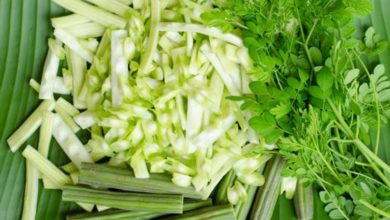 فوائد المورينجا