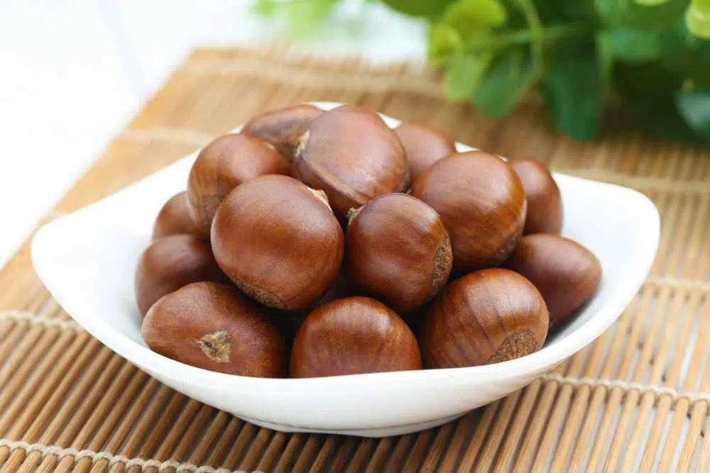 علاج دوالي الخصية بالأعشاب