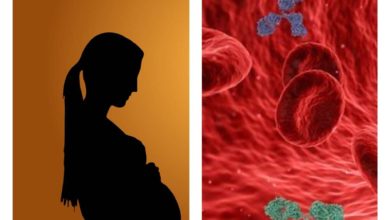 فقر الدم في الحمل