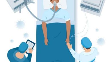 الفطر الأسود