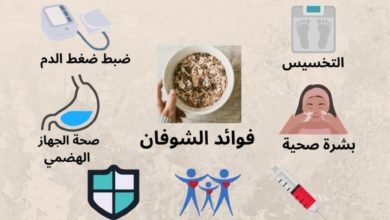 فوائد الشوفان