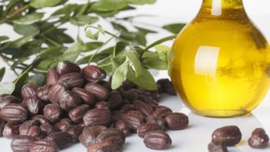 فوائد زيت الجوجوبا