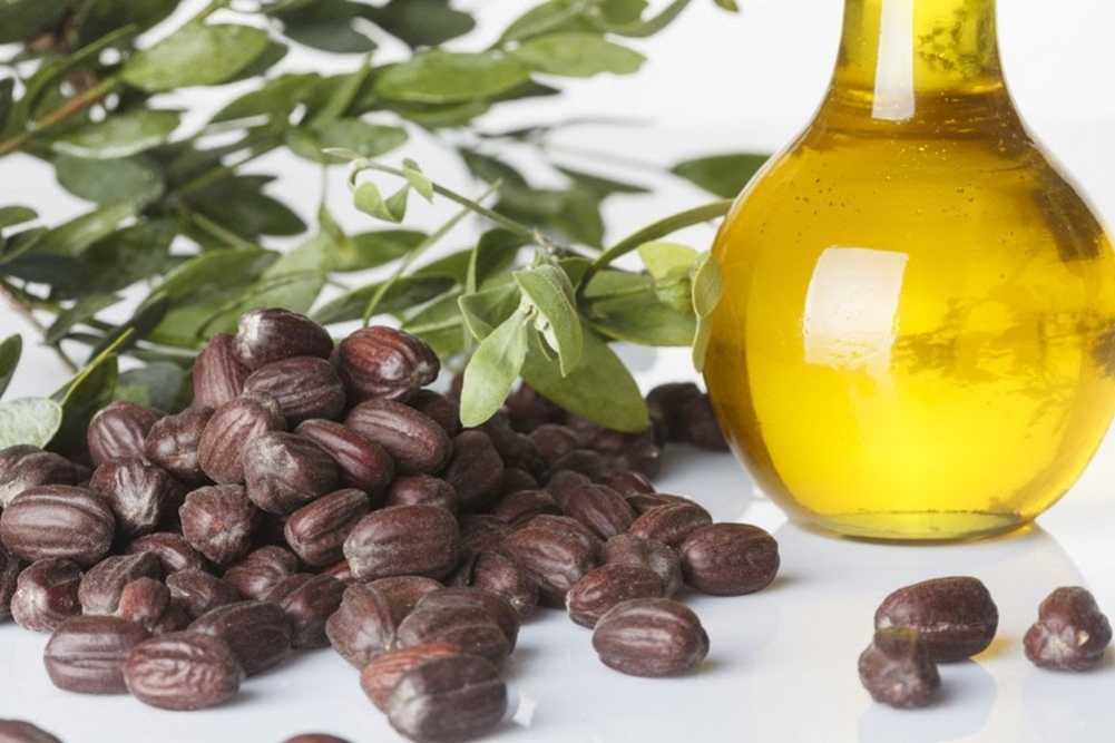 فوائد زيت الجوجوبا
