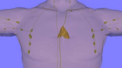 أماكن الغدة الزعترية