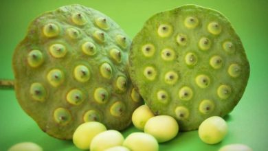 فوبيا النخاريب