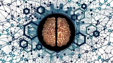 كيمياء المخ