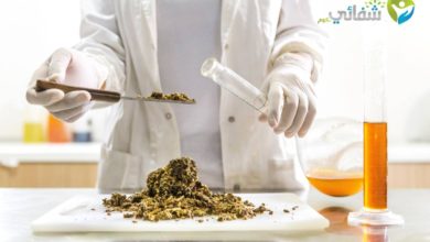 فوائد العكبر