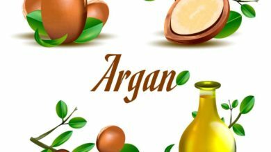 تجربتي مع زيت الأرغان للشعر
