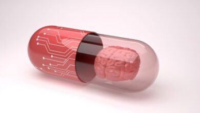 سنترم الطاقة مع الجنسنج